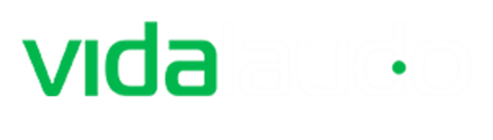 VidaLaudo